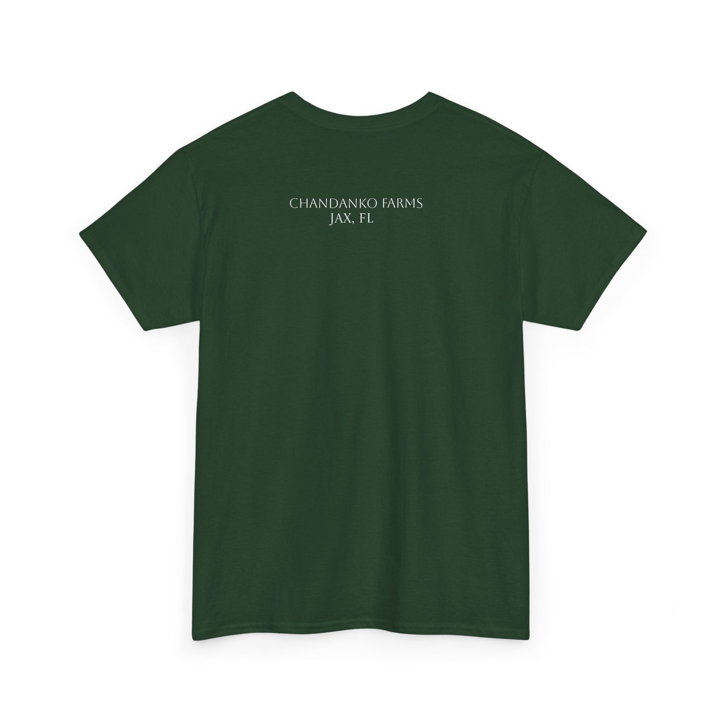 Salad Greens List T‑Shirt — Frisée & Arugula & Raddichio Design