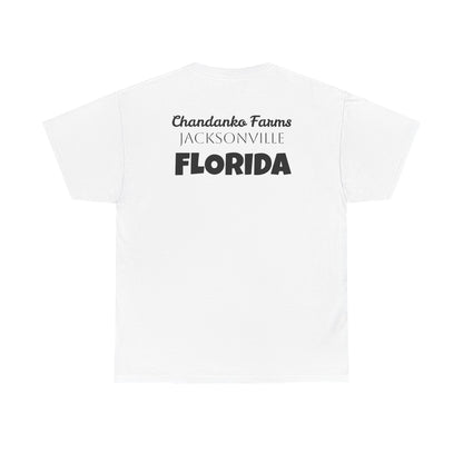 T-Shirt — "Don't Tread On Bees" Snake & Bee Graphic Tee (Chandanko Farms Florida)