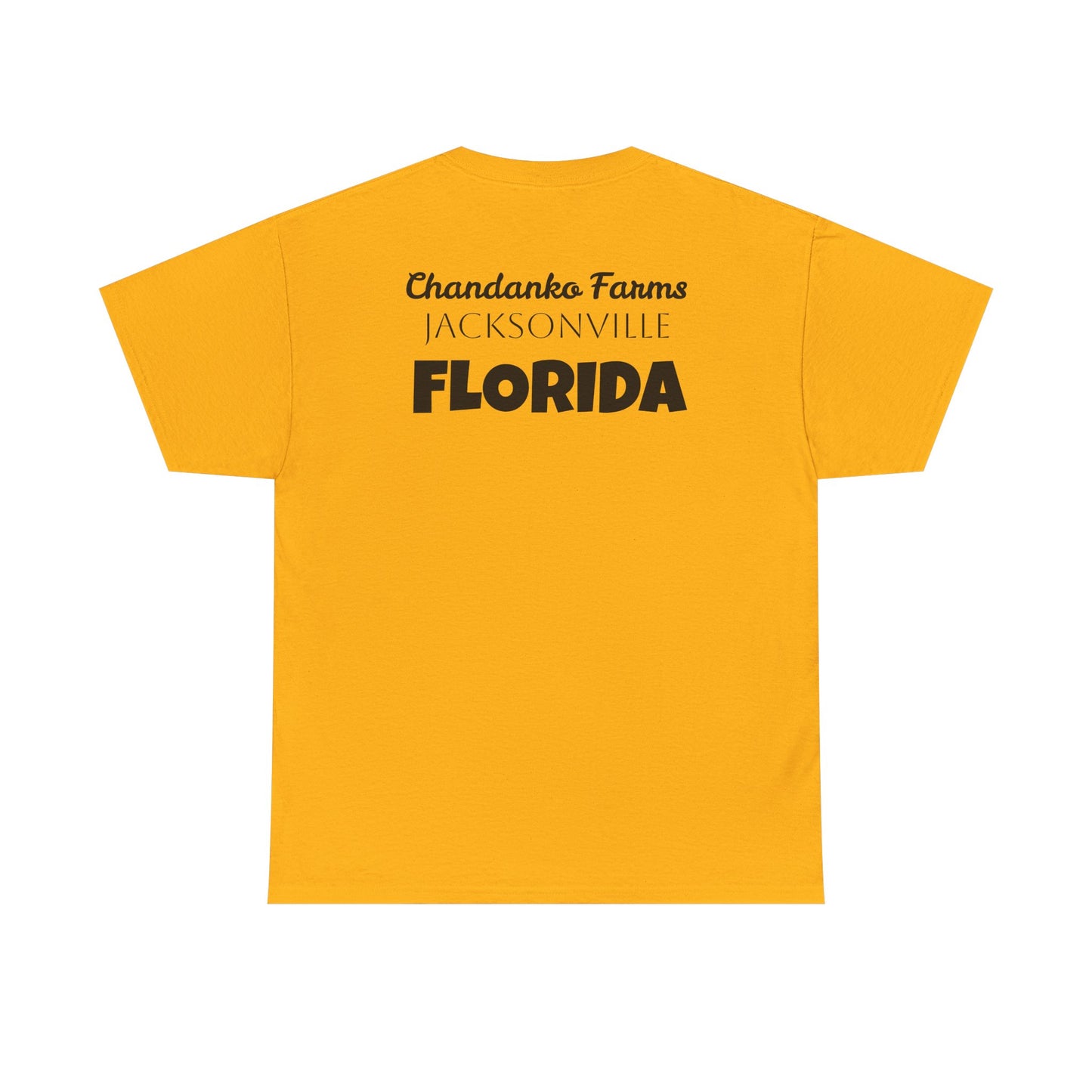 T-Shirt — "Don't Tread On Bees" Snake & Bee Graphic Tee (Chandanko Farms Florida)