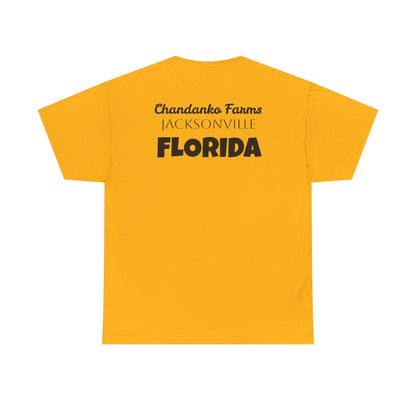 T-Shirt — "Don't Tread On Bees" Snake & Bee Graphic Tee (Chandanko Farms Florida)