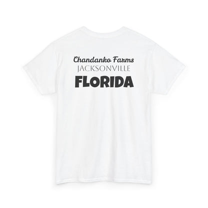 T-Shirt — "Don't Tread On Bees" Snake & Bee Graphic Tee (Chandanko Farms Florida)