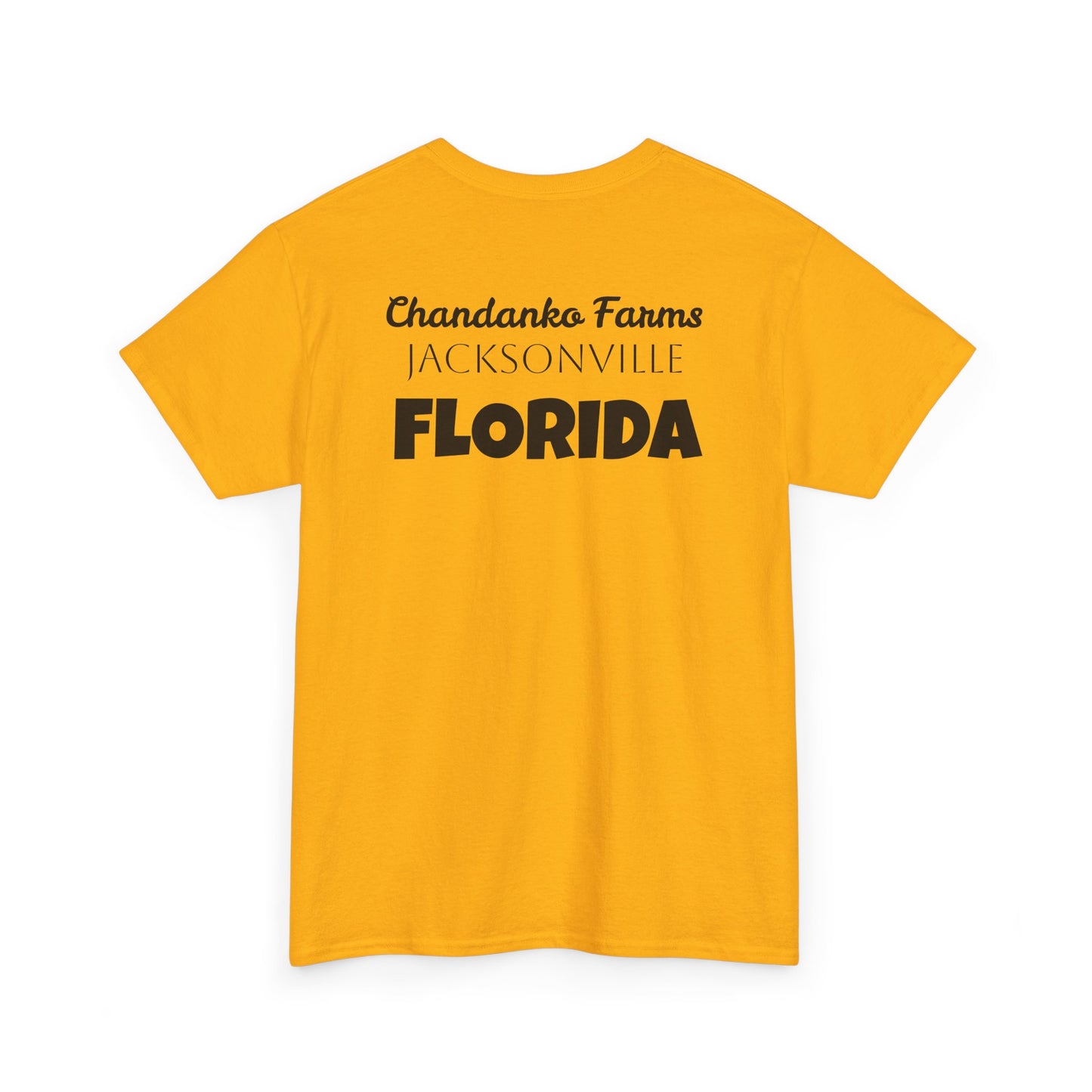 T-Shirt — "Don't Tread On Bees" Snake & Bee Graphic Tee (Chandanko Farms Florida)