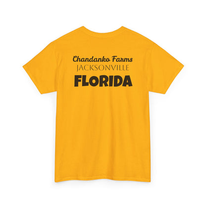 T-Shirt — "Don't Tread On Bees" Snake & Bee Graphic Tee (Chandanko Farms Florida)