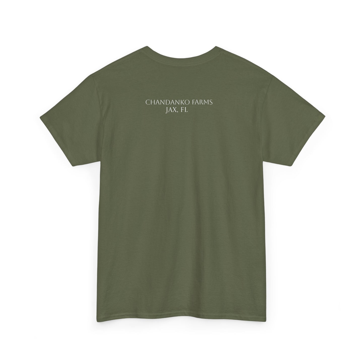 Salad Greens List T‑Shirt — Frisée & Arugula & Raddichio Design